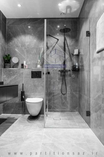 Shower Partition_10