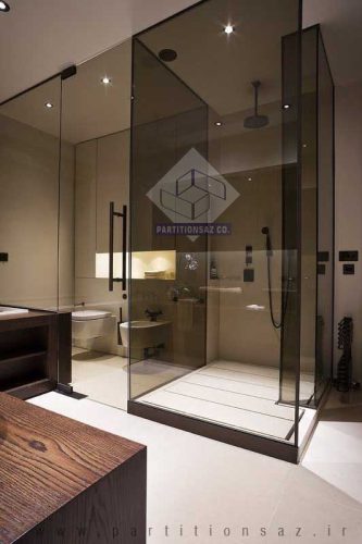 Shower Partition_18