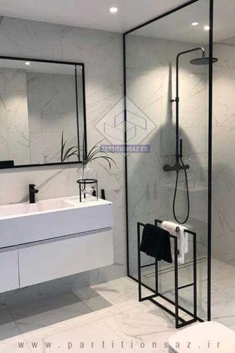 Shower Partition_1