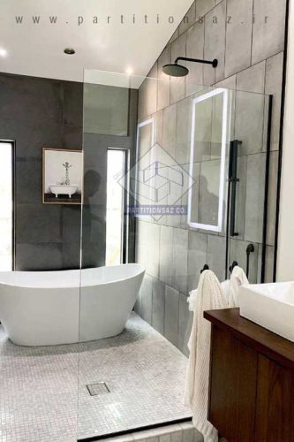 Shower Partition_4