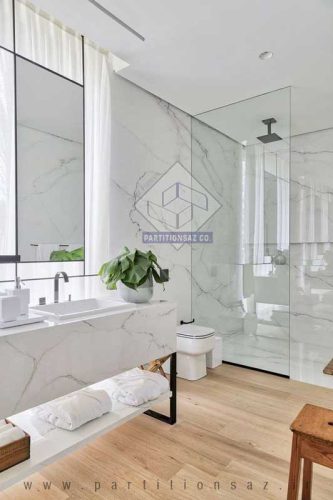 Shower Partition_6