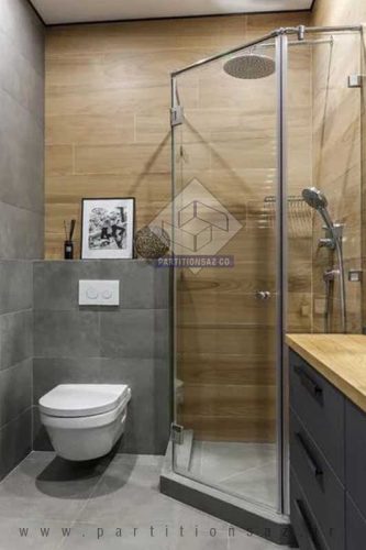 Shower Partition_7